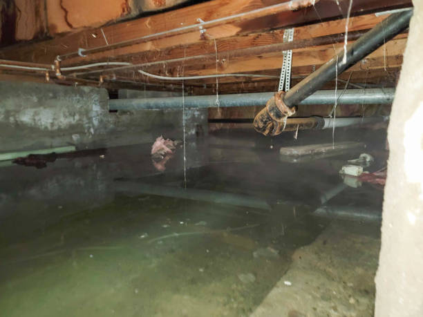 Best Emergency water damage restoration  in Kent Acres, DE