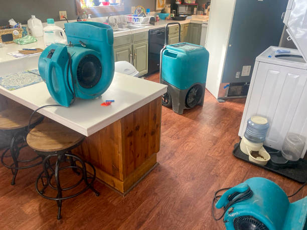 Best Professional water damage repair  in Kent Acres, DE
