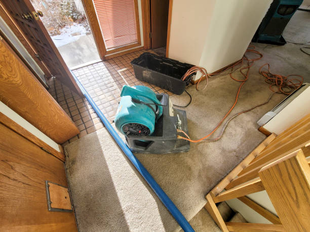 Best Residential water damage restoration  in Kent Acres, DE