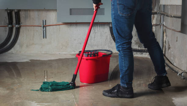 Best Flood restoration services  in Kent Acres, DE