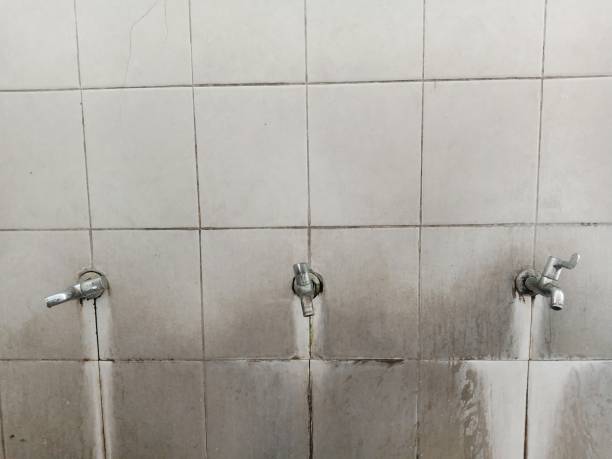 Best Water damage cleanup near me  in Kent Acres, DE