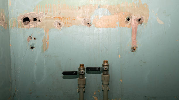 Best Flooded house restoration  in Kent Acres, DE