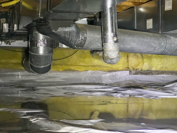 Trusted DE Water damage restoration Experts